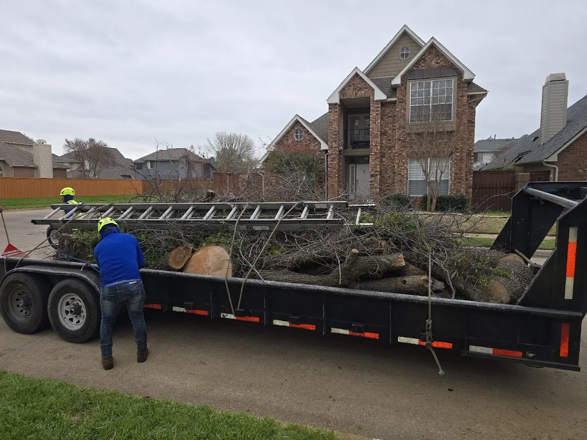 Expert Crown Reduction with proper safety equipment in Hoffman Estates